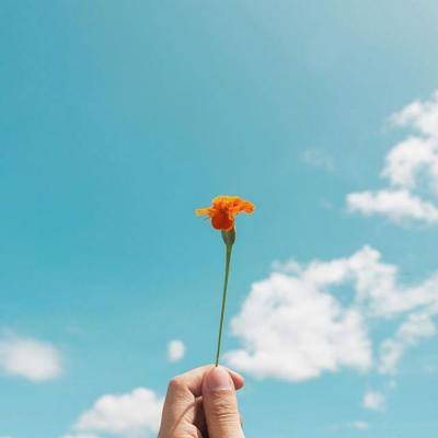 zoty中欧体育截图