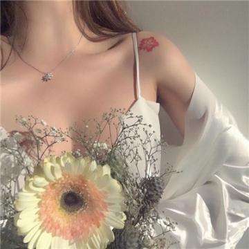 im电竞官网手机app下载